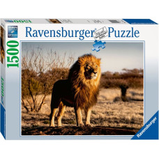 Ravensburger Puzzle 1500 Pc Lion