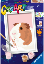 Ravensburger Paint by Numbers Guinea Pig