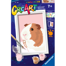 Ravensburger Paint by Numbers Guinea Pig