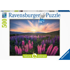 Ravensburger Puzzle 500 pc Lupines