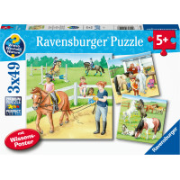 Ravensburger Puzzle 3x49 pc Horses