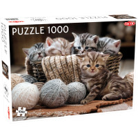 Tactic puzzle 1000 pc Cute Kittens