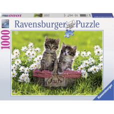 Ravensburger puzzle 1000 pc Kittens on a picnic