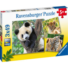 Ravensburger Puzzle 3x49 pc Wild Nature