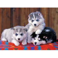 Ravensburger Puzzle 200 pc Huskies