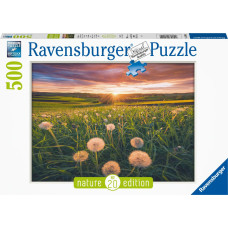 Ravensburger Puzzle 500 pc Dandelion Field