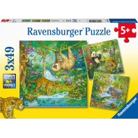 Ravensburger Puzzle 3x49 pc Jungle Fun