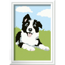 Ravensburger Paint by Numbers Border Collie