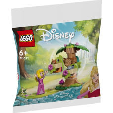 Lego Disney Aurora's Forest Playground