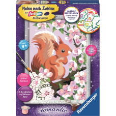 Ravensburger Painting by Numbers Squirrel