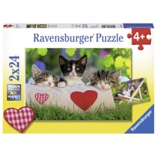 Ravensburger pusle 2x24 tk Kassid