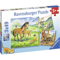 Ravensburger pusle 3x49 tk Õrnuse aeg