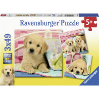 Ravensburger pusle 3x49 tk Kutsud