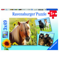 Ravensburger pusle 3x49 tk Hobused