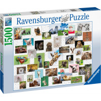 Ravensburger puzle Smieklīgie dzīvnieki, 1500 gab.